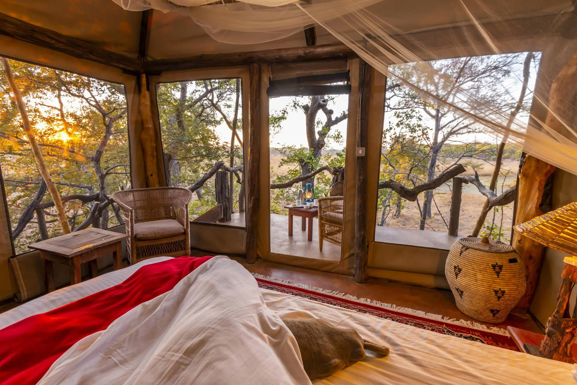 Fig Tree Luxury Tent