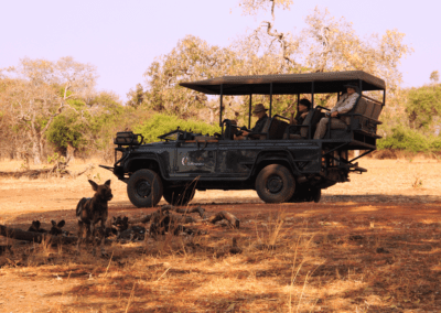 Chikunto game drive