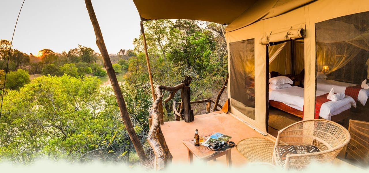Fig-Tree-Bush-Camp-header Fig Tree Bush Camp