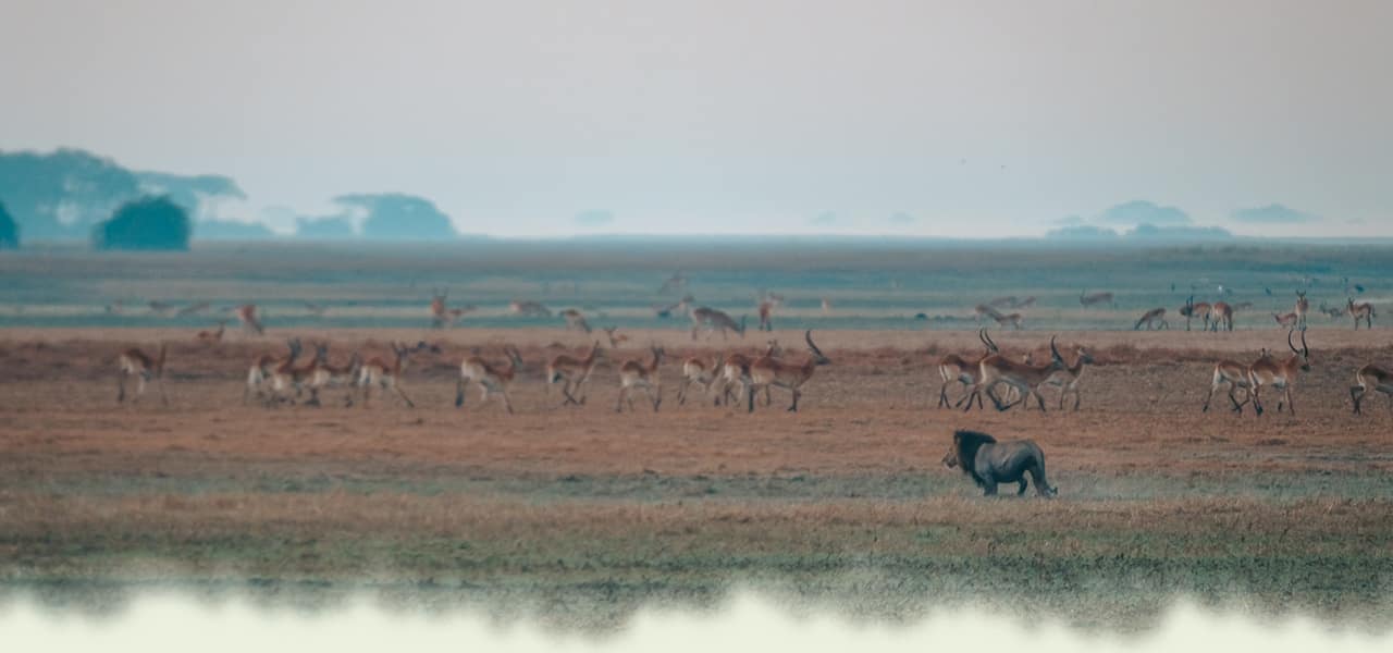 KAFUE-NP-HEADER
