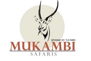 MUKAMBI LOGO TRANSPARENT