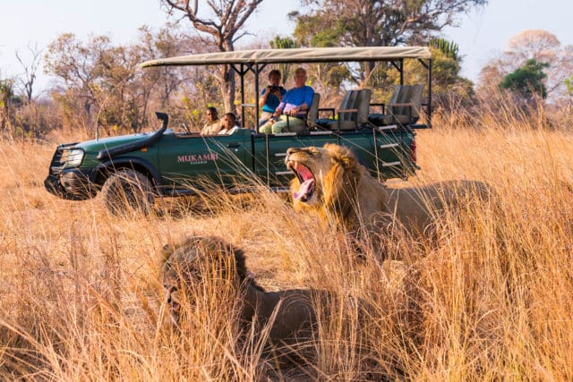 zambia safari locations