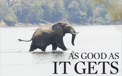 Cape Times – Escape