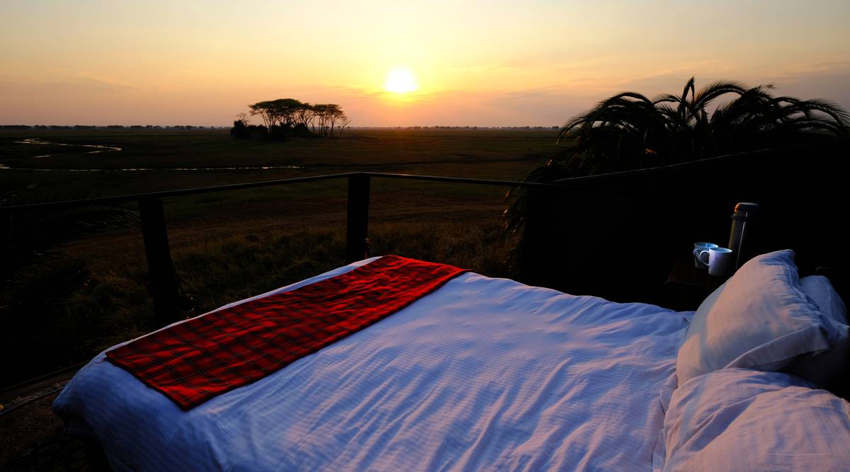 Star bed at sunrise