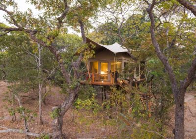 fig tree bush camp elevated tent