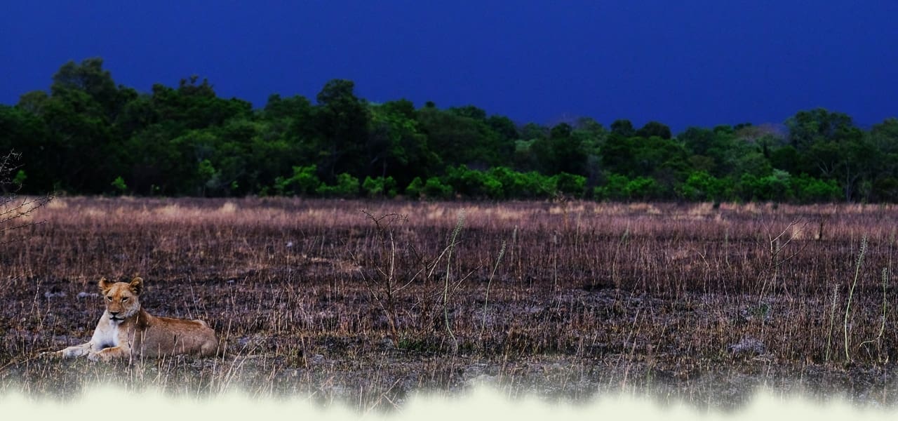 activities-header-new