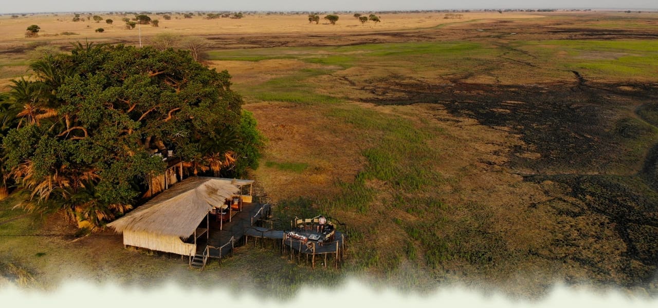 busanga-header
