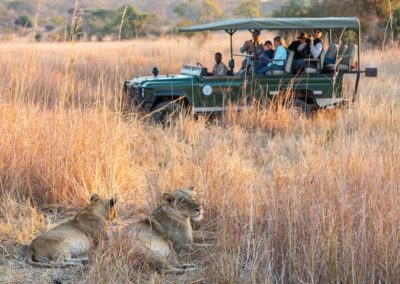 mukambi safari lodge game drive lions 